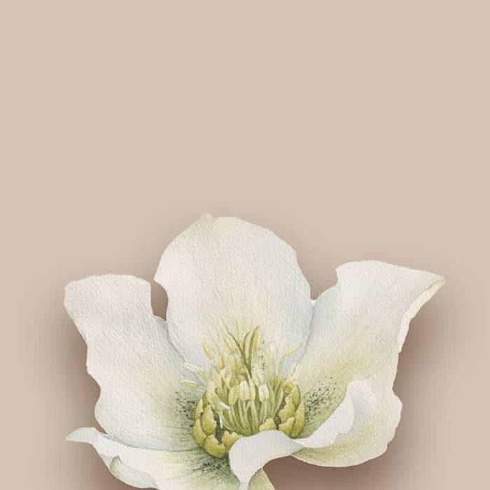 Natural elegance for your vacation offers in Hinterstoder.