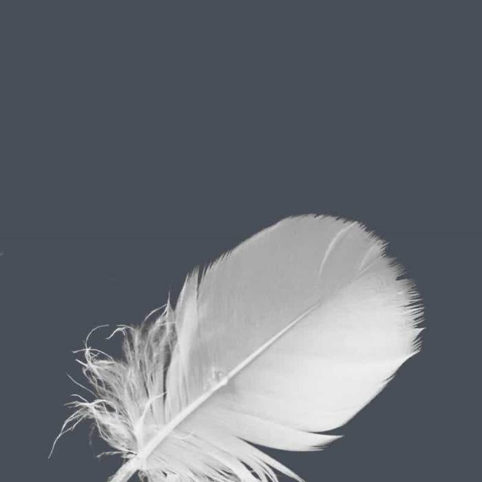 Feel a touch of relaxation at the TRIFORÊT alpin.resort.