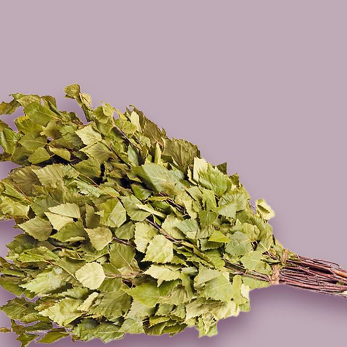 Discover the modern pool and sauna area at the Triforêt in Hinterstoder.