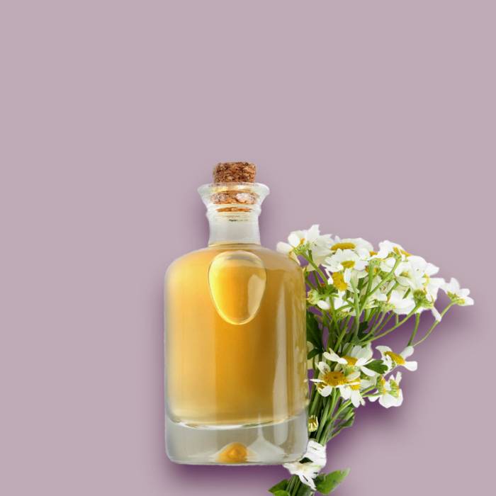 Discover the highest quality products for your spa treatment at Triforêt.