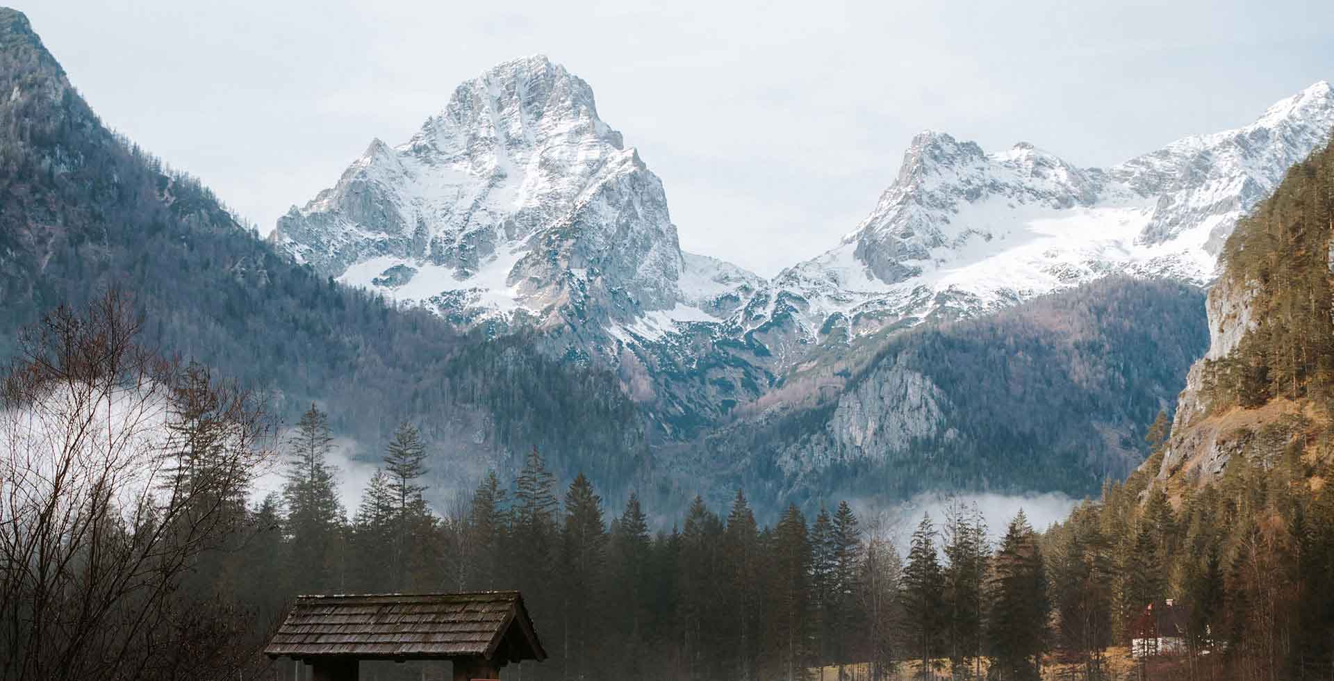 Aussicht auf schneebedeckte Berge und Wälder während Freizeitaktivitäten im Urlaub im TRIFORÊT alpin.resortin in Hinterstoder.