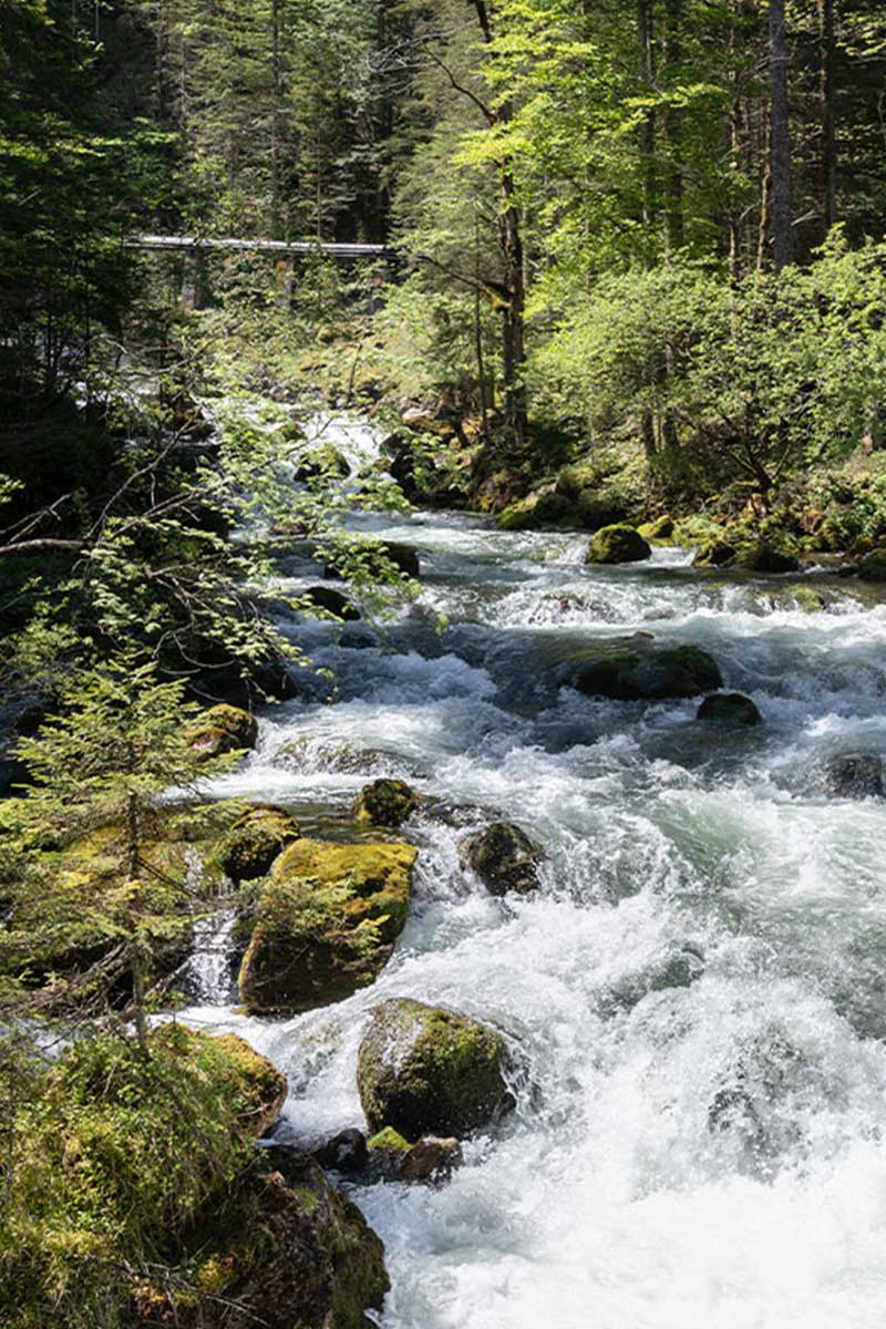 Rauschender Gebirgsfluss mit Felsen und Wald im Sommer perfekt für Wassersport im Aktivurlaub im TRIFORÊT alpin.resort.