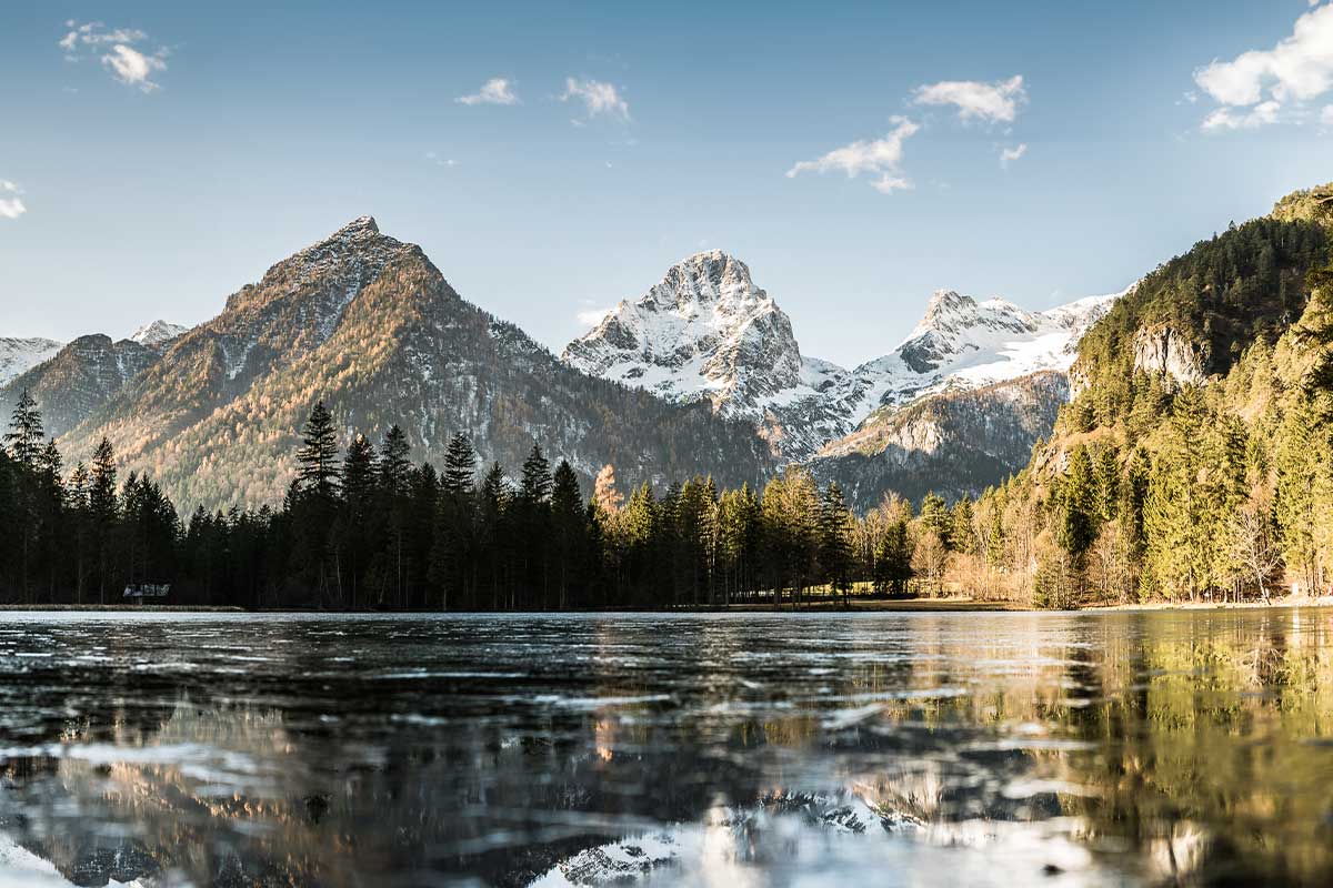 Idyllic views of the Alps with forests and lake - perfect surroundings for a group vacation at TRIFORÊT alpin.resort.